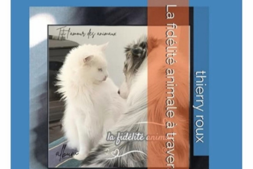 La fidélité animale à travers mon regard